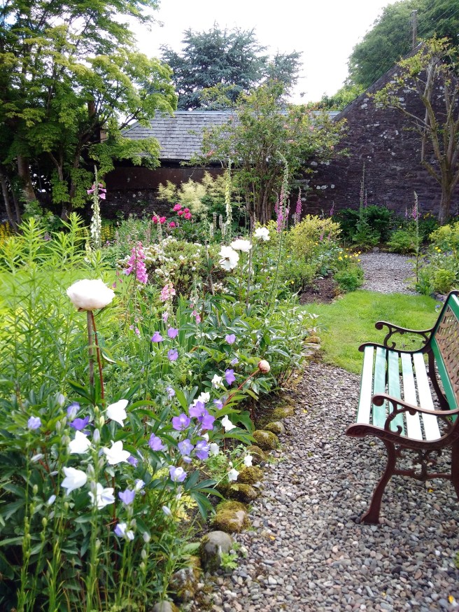 campanulas_peonies_Welsh_poppies_foxgloves