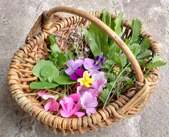 seasonal_salad_herbs_and_ edible_flowers