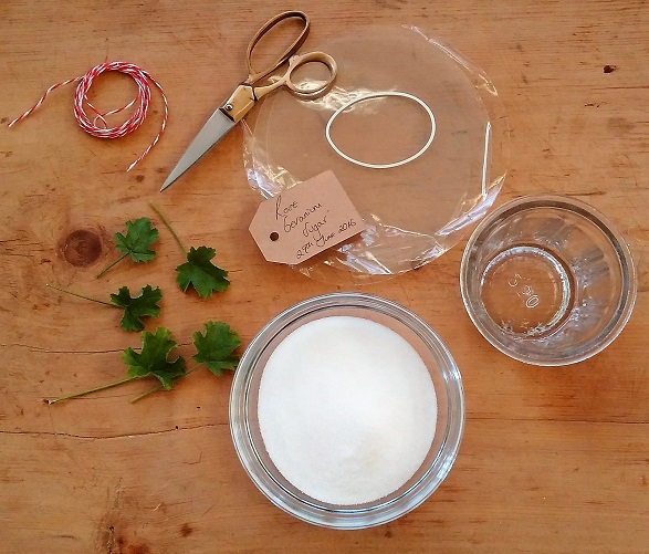 Homemade_rose_geranium_sugar