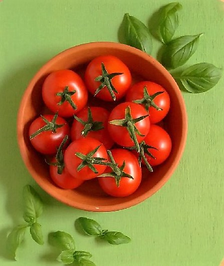 Homegrown_Gardener's_Delight_tomatoes_and_fresh_basil