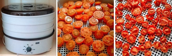 Dehydrating_tomatoes