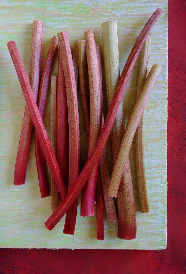 Homegrown_rhubarb