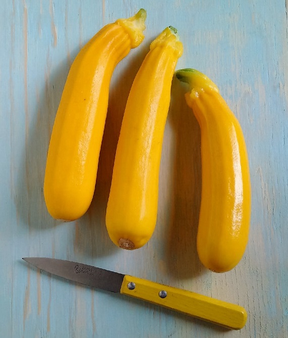 Homegrown_yellow_courgettes