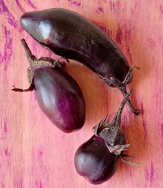 Fresh_aubergine_(eggplant)_fruit