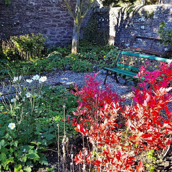 Flowerbed_with_fruit_bushes_and_flowers