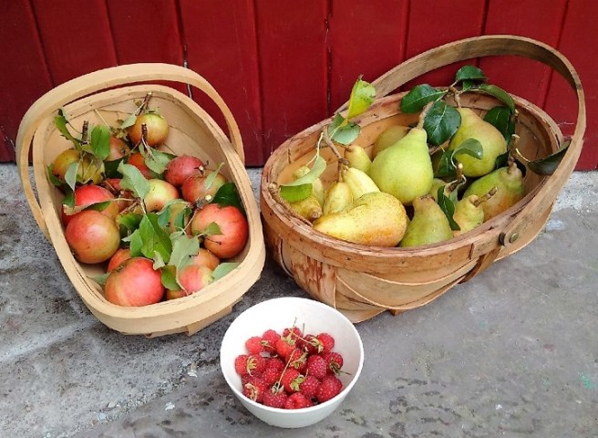 Homegrown_apples_pears_raspberries