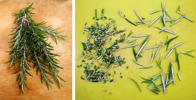 Fresh_rosemary_sprigs_and_leaves