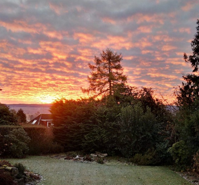 Winter_sunrise_over_a_Scottish_garden