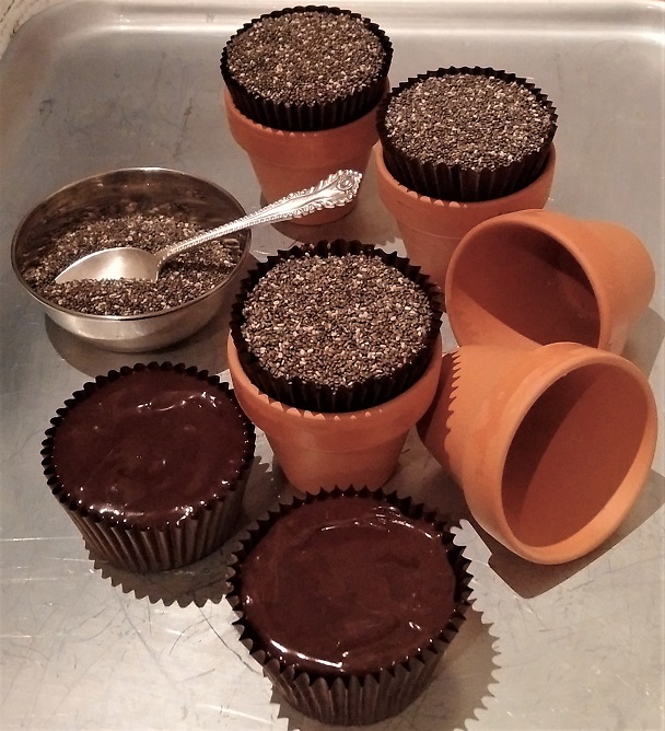 Icing_and_topping_muffins_with Chia_seeds