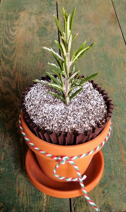 Chocolate_and_rosemary_muffin_dusted_with_icing_sugar