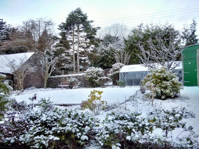 First_snowfall_of_2017_in_Perthshire_garden