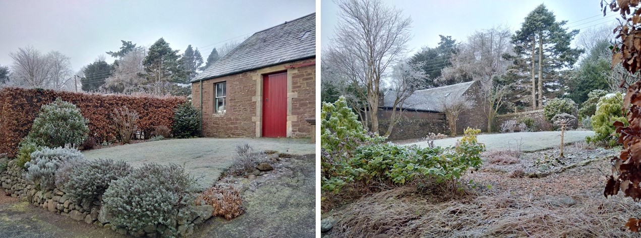 Perthshire_back_garden_covered_in_frost