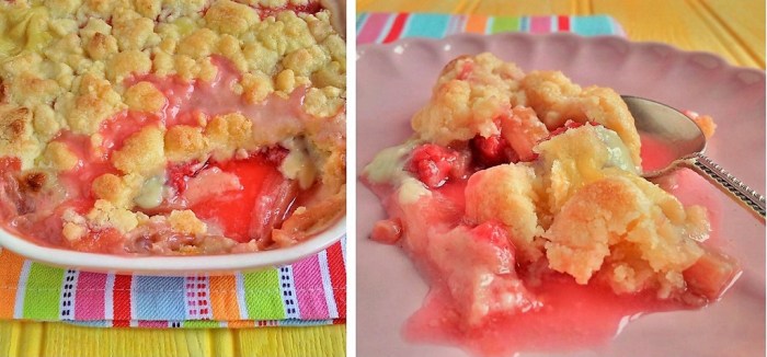 Portion_of_freshly_baked_rhubarb_raspberry_and_custard_crump