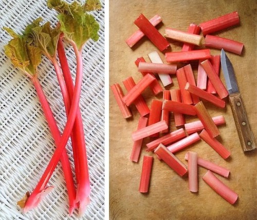 Stalks_fresh_forced_rhubarb