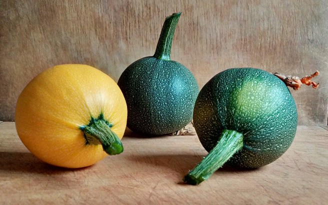 Yellow_and_green_round_courgettes