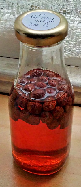 Wild_strawberry_vinegar