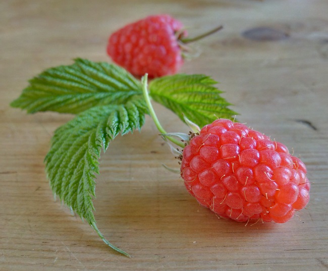 Still-life_Glen_Ample_raspberries_and_leaf