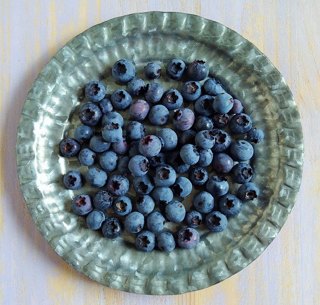 Small_plate_of_freshly_picked_blueberries