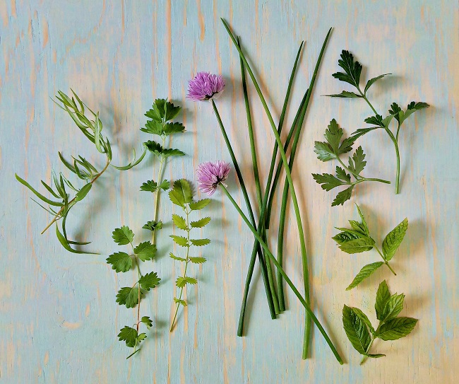 Selection_of_herbs_that_add_flavour_to_fresh_cucumber