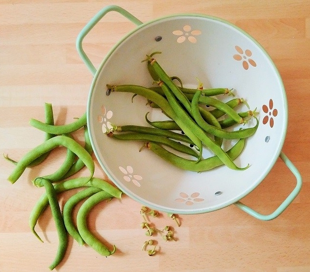French_bean_preparation