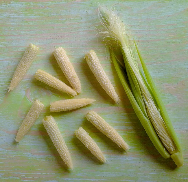 Preparing_freshly_picked_home-grown_baby_corn