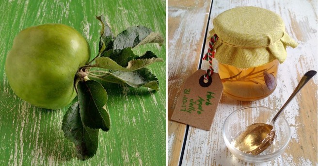 Lord_Derby_cooking_apple_with_jar_of_herb_apple_jelly