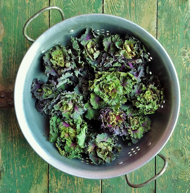 Colander_of_mini_kale