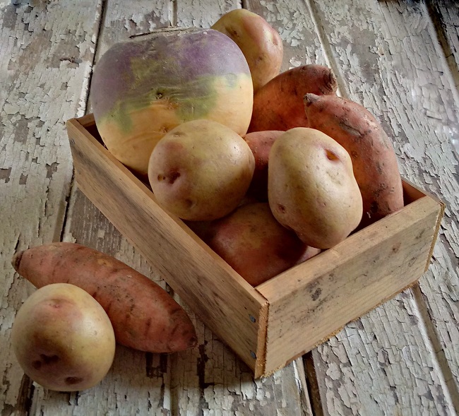 Turnip_sweet_potatoes_and_King Edward_potatoes_in_a_small_wooden_crate