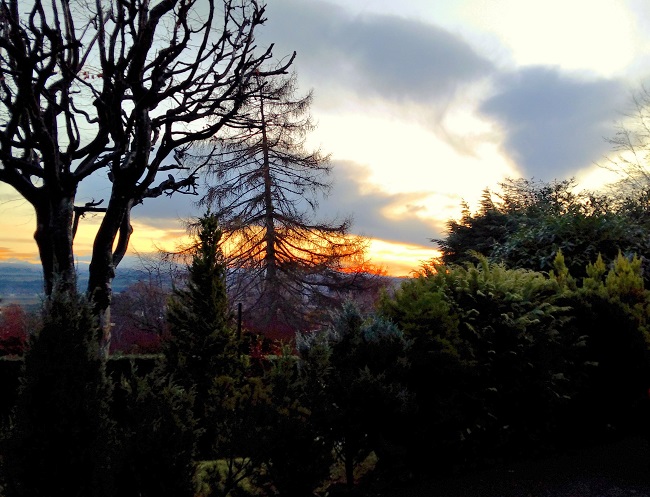 Low_winter_sun_Jan_1st_2018