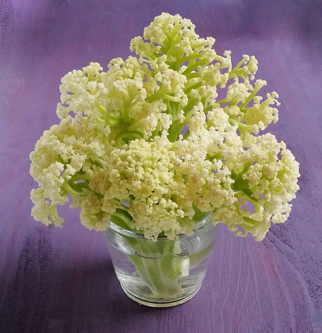 Vase_of_sweet_sprouting_cauliflower_stems