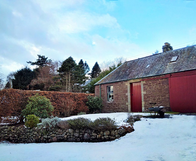 Blue_sky_after_snowfall_in_February_in_Scottish_garden