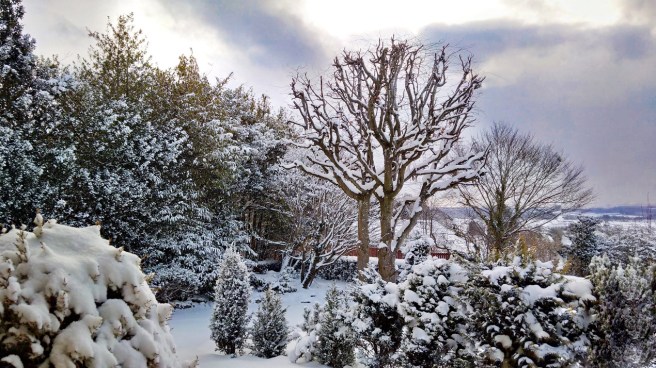 March_snow_in_central_Scotland