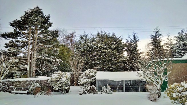 Early_March_snowfall_in_a_Scottish_garden