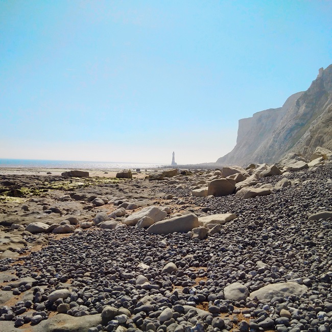 Sand_and_shingle_beach_at_low_tide_in_East_Sussxe