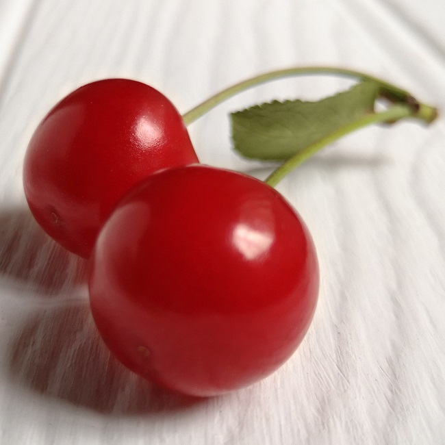 Pair_of_ripe_Morello_cherries_on_stalks_with_leaf