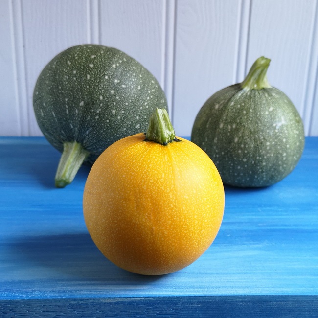Green_and_yellow_ball-shaped_courgettes