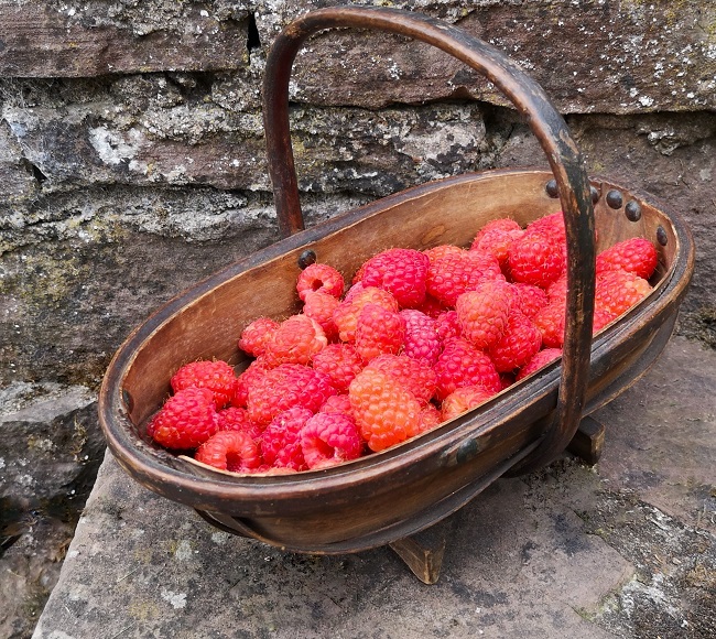 Fresh raspberry jellies (gluten-free; dairy-free; vegan) | My Virtually ...