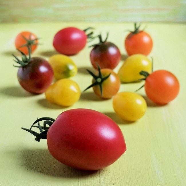 Orange_yellow_red_and_pink_varieties_of_tomato