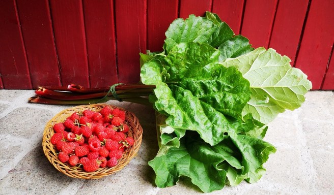 Oval_basket_of_summer_raspberries_and_a_bunch_of_rhubarb_stems