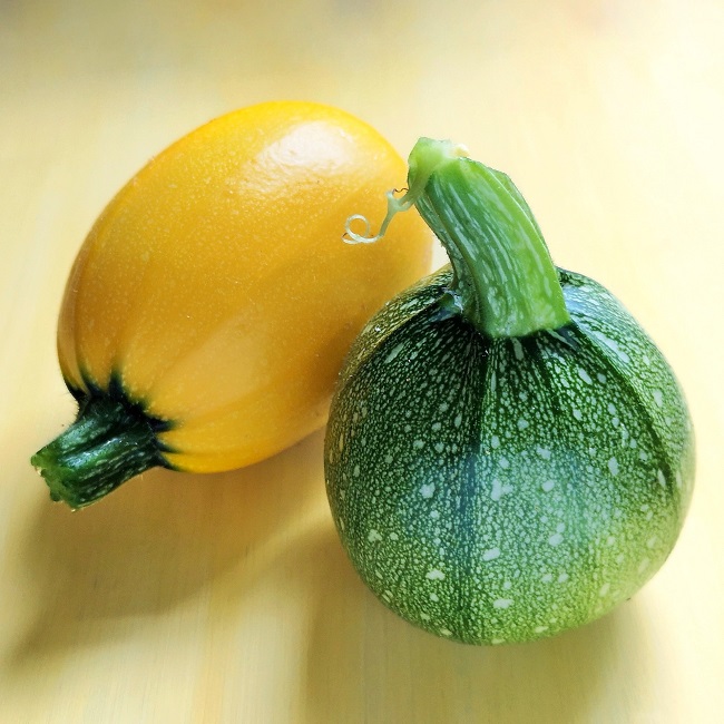 A_yellow_globe_courgette_and_a_green_variety