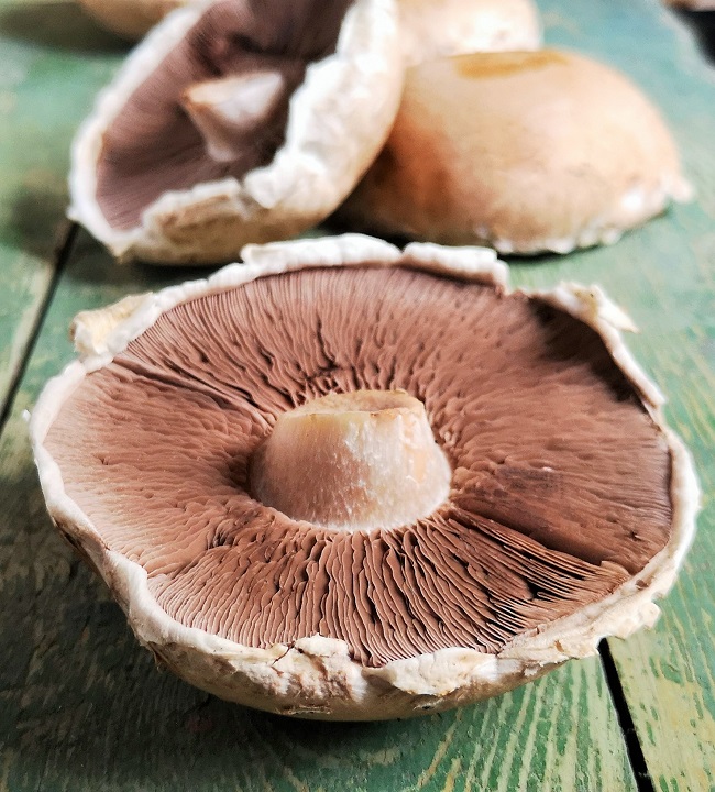 Portobello_mushrooms
