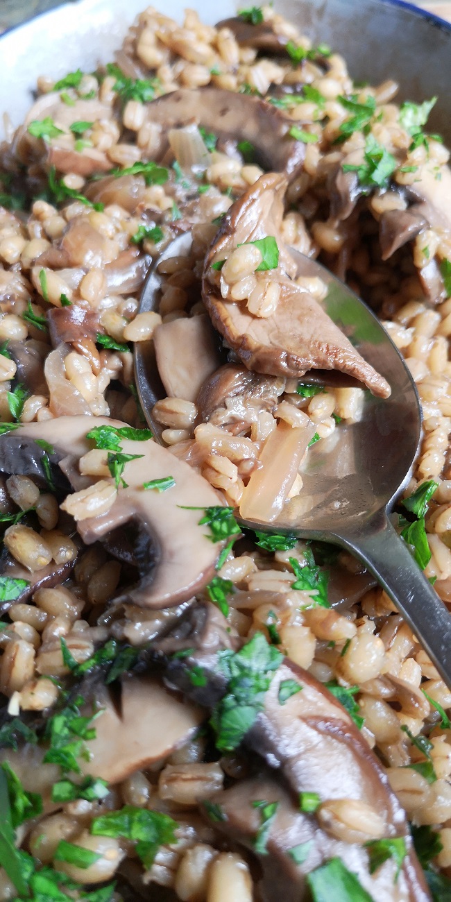 Spoonful_of_barley_and_mushroom_risotto