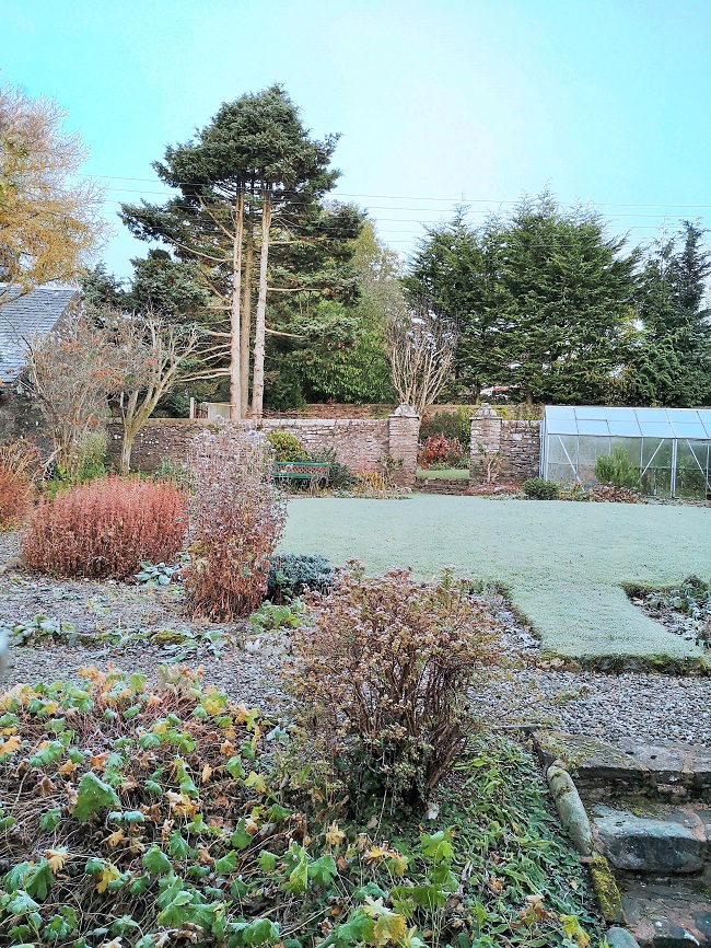 Scottish_garden_with_morning_frost