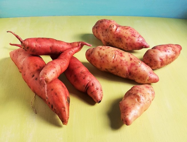 Freshly_scrubbed_home-grown_sweet_potato_and_pink_fir_potatoes