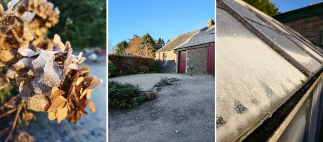 Frosted_Hydrangea_lawn_paths_and_greenhouse_glass