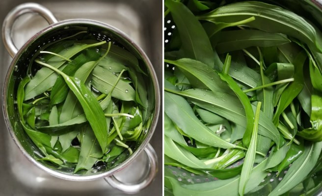 Dunking_wild_garlic_leaves_in_cold_water_and_shaking_dry