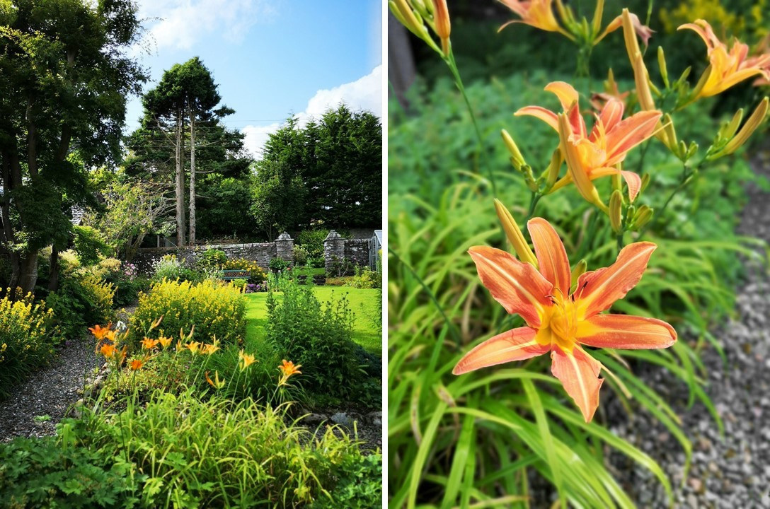 End_of_July_in_a_Scottish_garden_with_orange_lilies