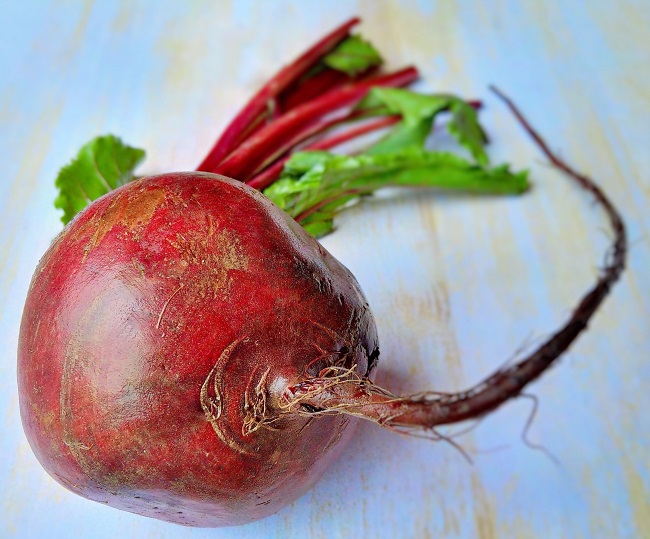 Still-life_of_a_fresh_beetroot_with_stalks