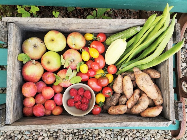 Wooden_crate_full_of_home-grown_September_harvested_produce
