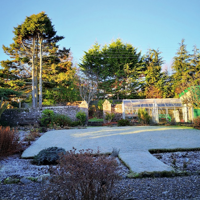 Afternoon_Winter_sunshine_on_New_Year's_Eve_garden